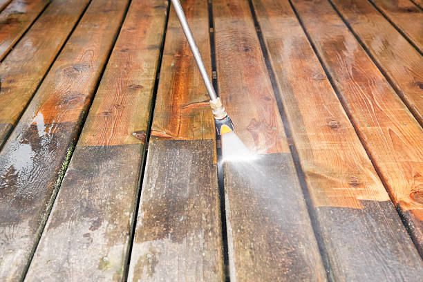 Best Roof Pressure Washing  in Cypress Quarters, FL